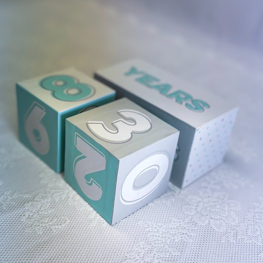 Newborn Milestone Blocks Days Months Years Nursery Decor Baby Gift Counting Toy - Picture 5 of 5